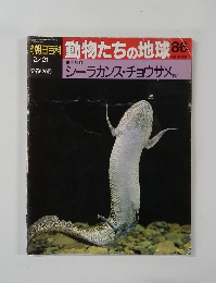 朝日百科動物たちの地球86　魚類 ②　シーラカンス・チョウザメ ほか
