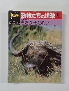 朝日百科　動物たちの地球　8