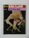 朝朝日百科動物たちの地球41