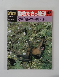 朝日百科　動物たちの地球　42　