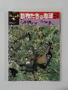 朝日百科　動物たちの地球　42　