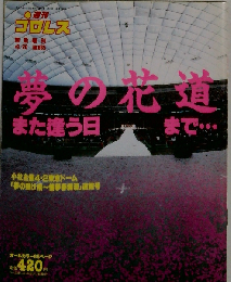 週刊プロレス1995年4月20日号