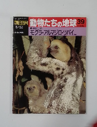 朝日百科動物たちの地球39　