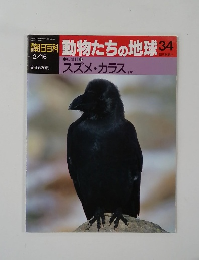 朝日百科　動物たちの地球　34