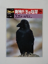 朝日百科　動物たちの地球　34