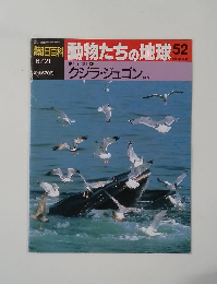 朝日百科 動物たちの地球52