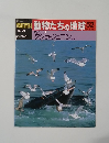朝日百科 動物たちの地球52