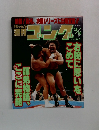週刊ゴング　No.689　1997年11/20号