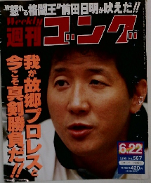 週刊 ゴング　1995年号