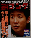 週刊 ゴング　1995年号