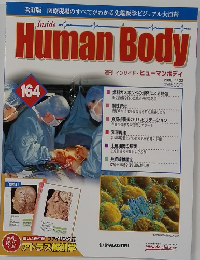週刊 インサイド・ヒューマンボディ　2008年4/22号