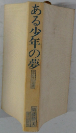 ある少年の夢