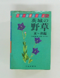 茨城の  野草  夏~秋編