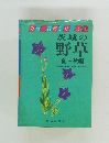 茨城の  野草  夏~秋編