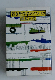 若き数学者のアメリカ