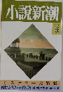 小説新潮　1992年6月号