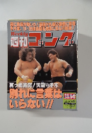 週刊ゴング　1996年11/14号 No.638