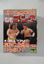 週刊ゴング　1996年11/14号 No.638