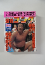 週刊ゴング　1997年1/23号 No. 647
