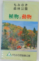 もみのき 森林公園  植物と動物
