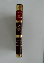 世界 大百科事典13