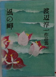 渡辺淳一作品集12