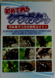 初めて飼うクワガタムシ