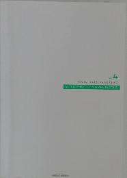  VISUAL GUIDE to NURSING  DEVELOPMENT OF NURSING PROCESS vol  4 