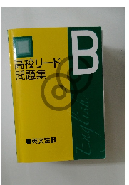 高校リード  問題集　英文法B