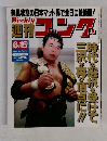 週刊ゴング　1995年6/15号