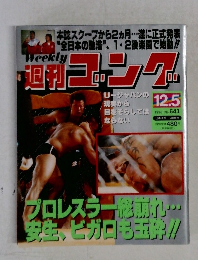 週刊ゴング 　1996年12月5日号