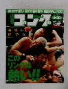 週刊ゴング 　2003年1月30日号