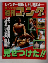 週刊ゴング  1995年10月