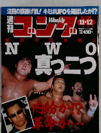 週刊ゴング　No.739