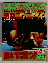 週刊ゴング　1996年5月16日号　No.613