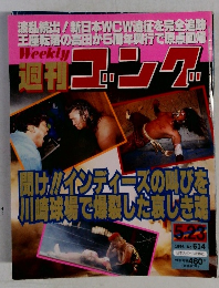 週刊ゴング　1996　5/23