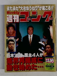 週刊ゴング　1995年11月16日号　No.588