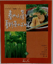 春の山  夏野菜のおかず  4