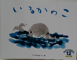 いるかのこ