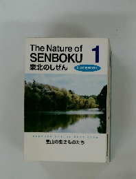 The Nature of  SENBOKU 1  泉北のしぜん