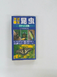 身近な　昆虫　　ポケット図鑑
