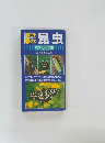 身近な　昆虫　　ポケット図鑑