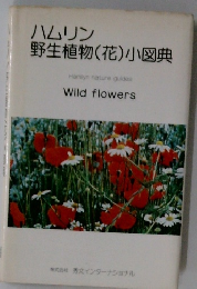 ハムリン野生植物 (花)小図典