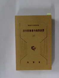 渉外家事事件執務提要　上
