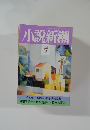 小説新潮　1992年7月号