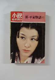 小説　週刊朝日　新・平家物語　11