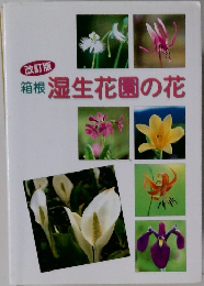 箱根 湿生花園の花 