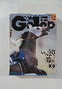 Gallop 1999年3/28