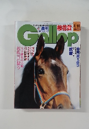 週刊ギャロップ　1999年4月11日号