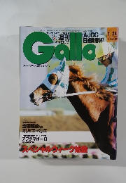 Gallop 1999年1月24日号